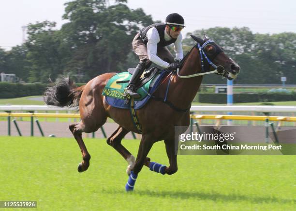 The Yasuda Kinen 2013 runner HELENE SPIRIT, ridden by Gerald Mosse, gallop on the turf in Tokyo Racecourse. 31MAY13