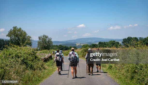 pilgrims walking the camino de santiago - pilgrims walk stock pictures, royalty-free photos & images