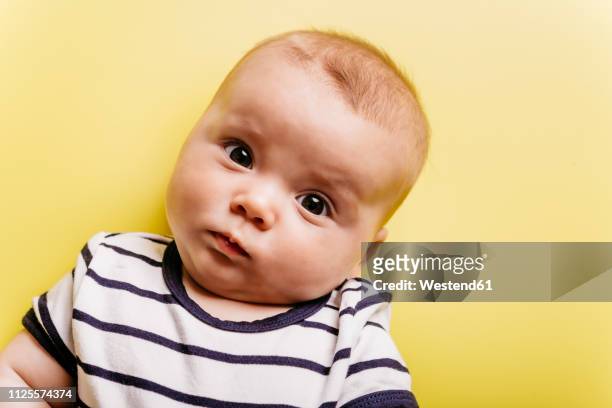 portrait of sceptical baby girl in front of yellow background - head cocked stock pictures, royalty-free photos & images