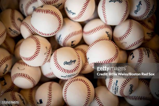 Baseballs are displayed during a Boston Red Sox team workout on February 18, 2019 at JetBlue Park at Fenway South in Fort Myers, Florida.