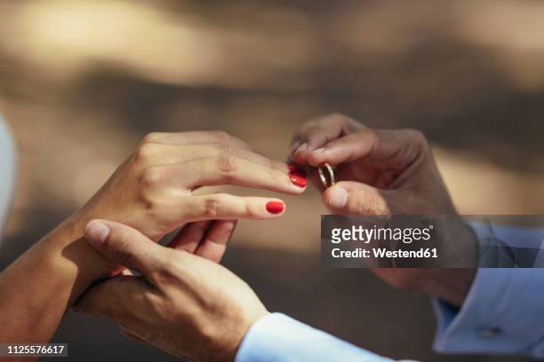 groom putting wedding ring on finger of bride, close up - wedding rings stock-fotos und bilder