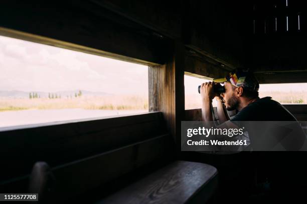 man birdwatching with binoculars from a viewing tower - bird watching stock pictures, royalty-free photos & images