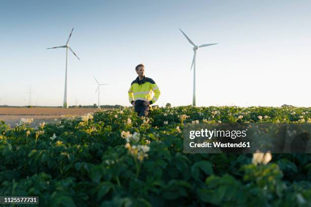 engineer standing in a field at a wind farm - beleggen stockfoto's en -beelden