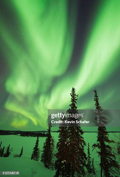 aurora borealis or northern lights, canada - yellowknife canada 個照片及圖片檔