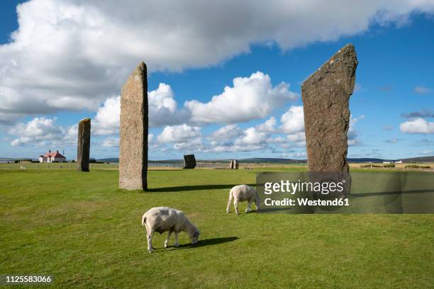 great britain, scotland, orkney, mainland, neolithic stone circle - runes stock pictures, royalty-free photos & images