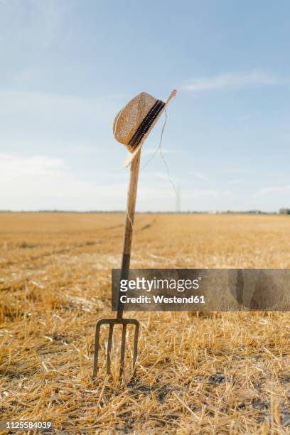 straw hat on pitchfork in field in rural landscape - heugabel stock-fotos und bilder