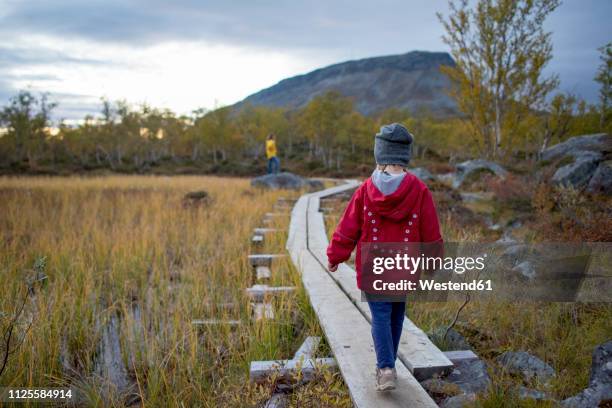 finland, lappland, kilpisjaervi, girl on boardwalk, rear view - bog stock pictures, royalty-free photos & images