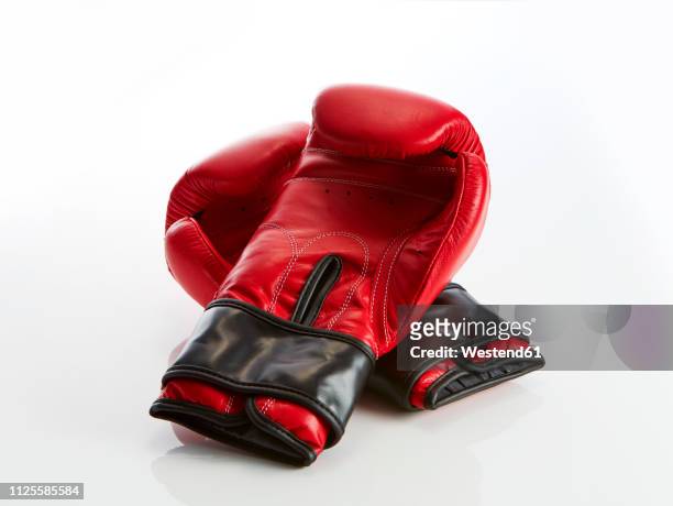 red boxing gloves on white background - red glove stockfoto's en -beelden