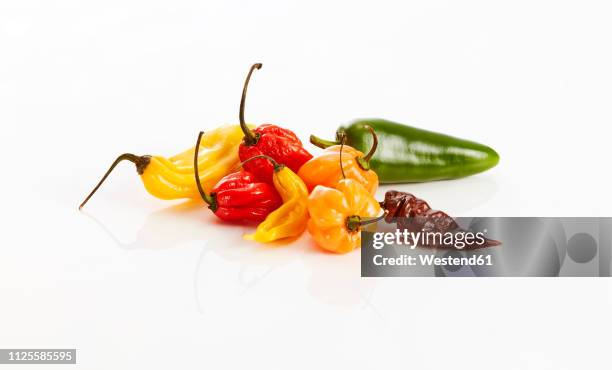 various chili pods on white background - jalapeño stockfoto's en -beelden