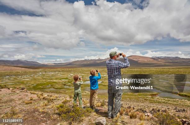 peru, chivay, colca canyon, father and sons taking pictures of swamp landscape in the andes - touring in peru foto e immagini stock