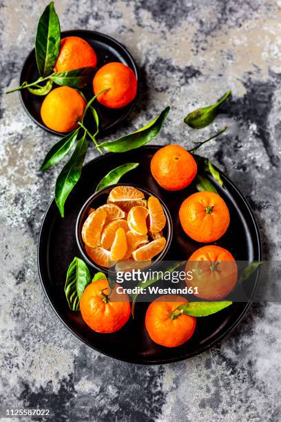 tangerines with leaves, on plate and pieces in bowl - mandarine stock-fotos und bilder