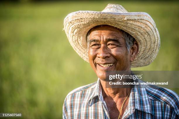 farmers are happy with the success. - thai ethnicity fotografías e imágenes de stock
