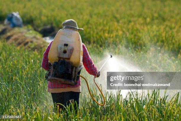 farmer spraying pesticide. - insecticide stock-fotos und bilder