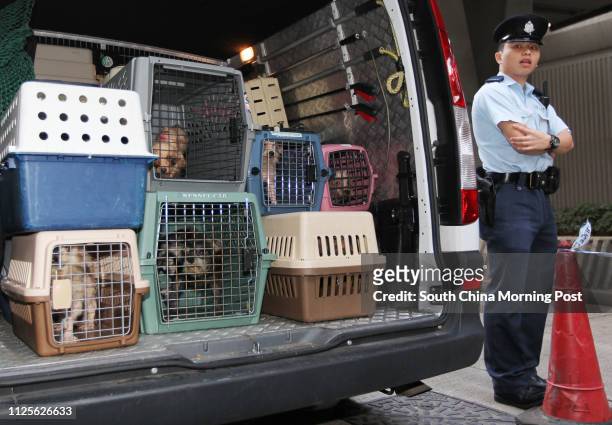 Police stand guard as staff from Agriculture, Fisheries and Conservation Department and SPCA rescue more than a hundred dogs and cats, which were...