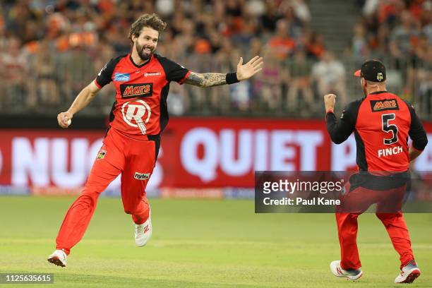 Kane Richardson of the Renegades celebrates the wicket of Ashton Turner of the Scorchers during the Big Bash League match between the Perth Scorchers...