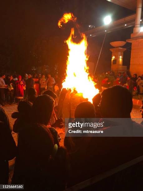 1,055 Lohri Photos and Premium High Res Pictures - Getty Images