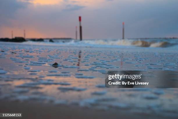 Palling Image 89 Sea Palling Stock Photos, High-Res Pictures, and Images - Getty Images