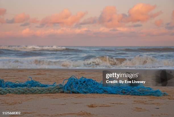 Palling Image Sea Palling Photos and Premium High Res Pictures - Getty Images