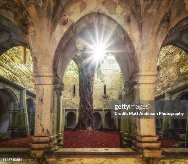 muckross abbey courtyard - abby anderson stock-fotos und bilder