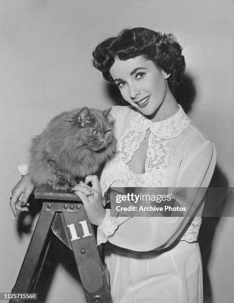 British-American actress Elizabeth Taylor with a persian cat, circa 1950.