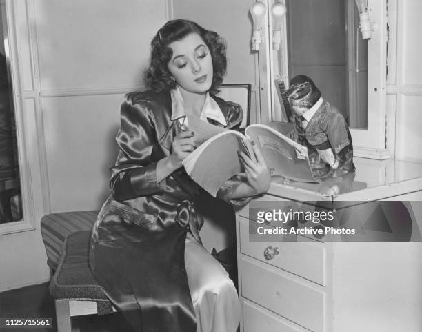 Canadian-American actress Ann Rutherford reading a script in a dressing room, accompanied by Pete the penguin, 1940. Both are appearing in Wilhelm...