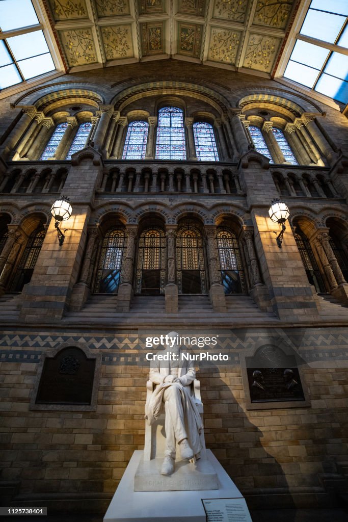 Darwin Statue Charles Darwin statue in the main hall of the Natural History Museum ...
