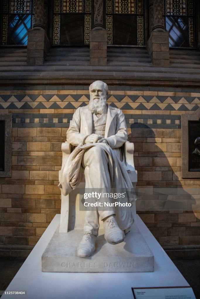 Darwin Statue Charles Darwin statue in the main hall of the Natural History Museum ...