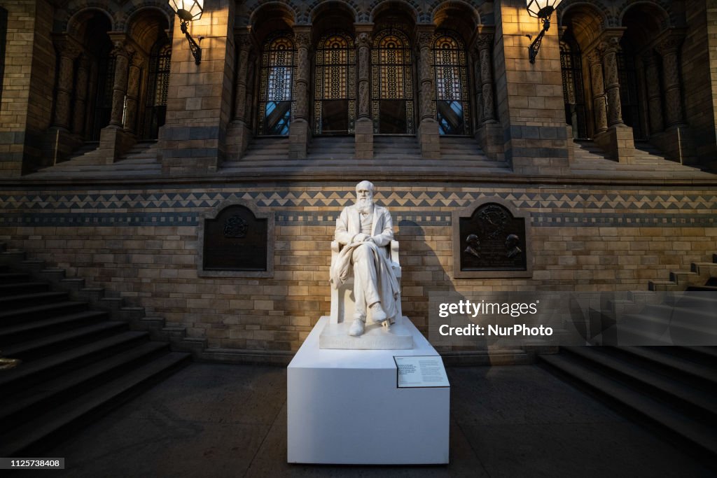 Darwin Statue Charles Darwin statue in the main hall of the Natural History Museum ...