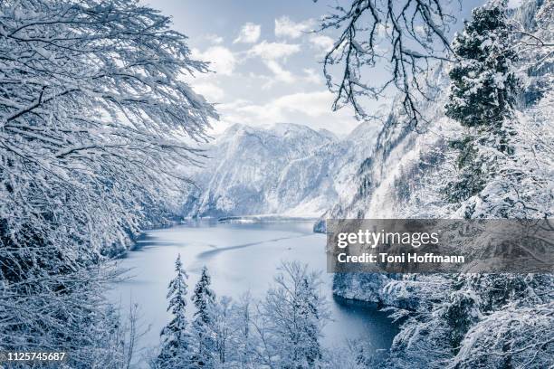 scenic view at the rabenwand at königssee - bavaria winter stock pictures, royalty-free photos & images