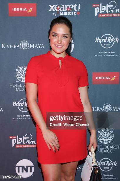 Jessica Decote attends a red carpet for the shortlist presentation of the Premios Platino at Cineteca Nacional on February 18, 2019 in Mexico City,...