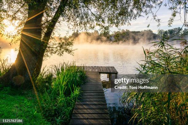 the first sunrays at wesslinger see - boardwalk stockfoto's en -beelden