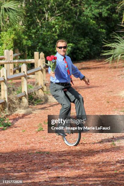 man on unicycle giving flowers - sorry funny stock pictures, royalty-free photos & images