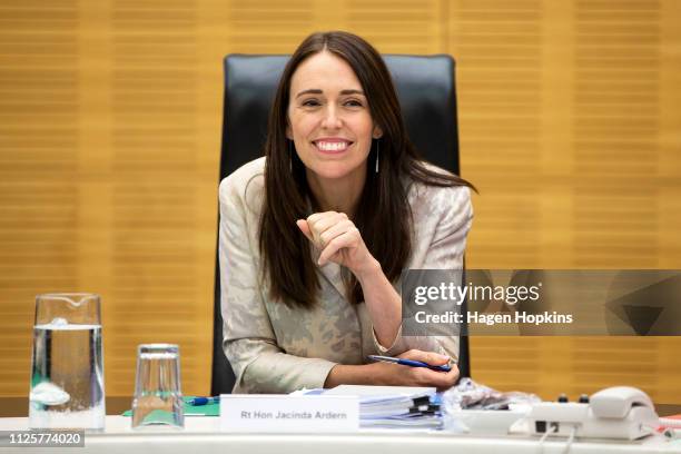 Prime Minister Jacinda Ardern speaks to media during a cabinet meeting at Parliament on January 29, 2019 in Wellington, New Zealand.