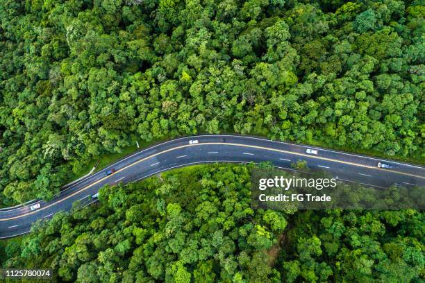 aerial view of a road on a forest - car above stock pictures, royalty-free photos & images