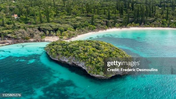 paradise islande in new caledonia - nueva caledonia fotografías e imágenes de stock