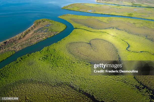 cœur de voh - neukaledonien stock-fotos und bilder