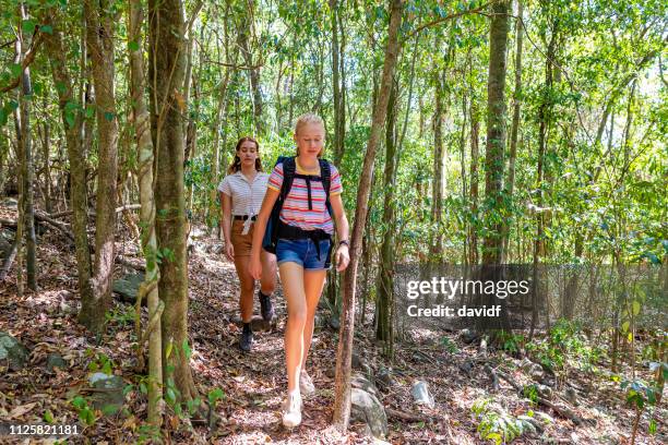 teenage girls hiking in natural australian wilderness - forest new south wales stock pictures, royalty-free photos & images