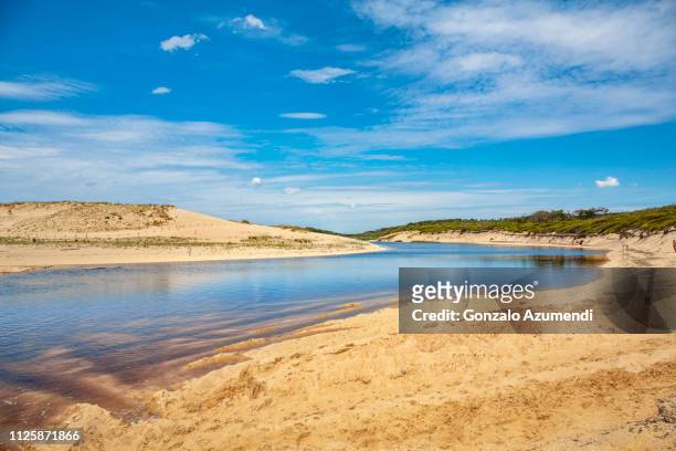 le courant d´huchet natural reserve in france - les landes stock pictures, royalty-free photos & images