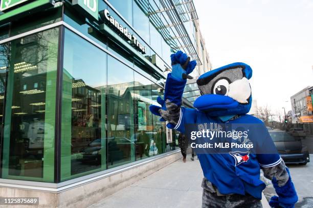 Toronto Blue Jays mascot Ace poses for a photo outside the TB Canada Trust Bank in downtown Toronto on January 11, 2019 in Toronto Canada.