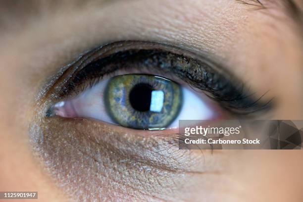 precioso ojo de chica maquillado - iris ojo stockfoto's en -beelden
