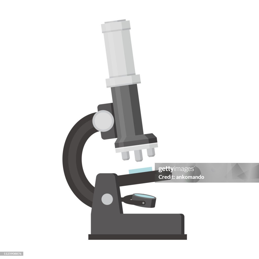 Microscope Vector Simple Simple Microscope Vector Illustration High-Res Vector Graphic - Getty ...