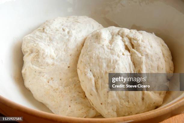 fresh made dough to rise - jäst bildbanksfoton och bilder