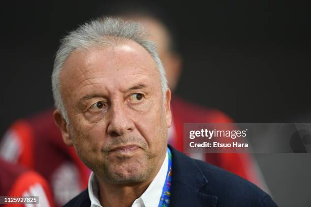 United Arab Emirates head coach Alberto Zaccherini looks on prior to during the AFC Asian Cup semi final match between Qatar and United Arab Emirates...