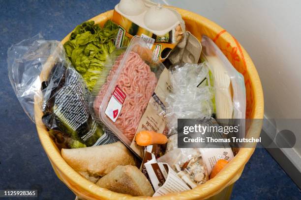 Berlin, Germany Symbolic photo on the topic of food waste. Foods with an expired expiry date are in a dustbine on February 19, 2019 in Berlin,...