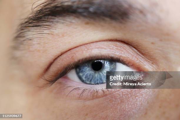 detail of caucasian male blue eye and black lashes. - iris mann stock-fotos und bilder