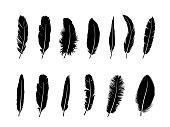 Feather set.  Different  birds feathers silhouette icons over white background