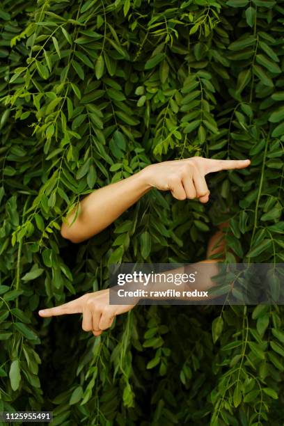 Pointing In Direction Pointing Different Directions Photos and Premium High Res Pictures ...