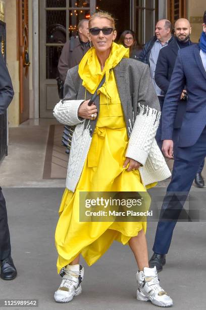 Singer Celine Dion is seen on January 29, 2019 in Paris, France.