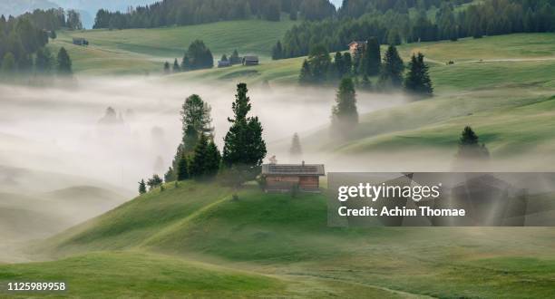 alpe di siusi (seiser alm), dolomite alps, italy, europe - tirol nebel stock pictures, royalty-free photos & images