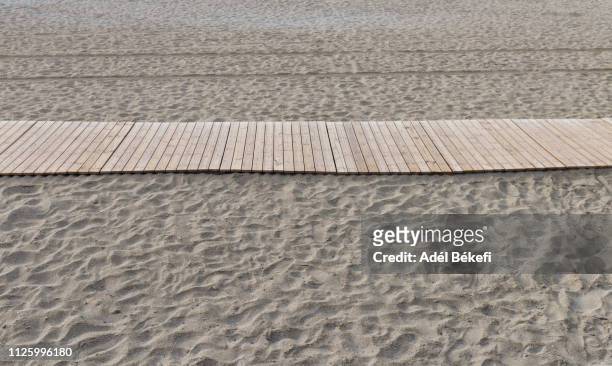 path of wooden planks through the sandy beach - coast redwood stock pictures, royalty-free photos & images